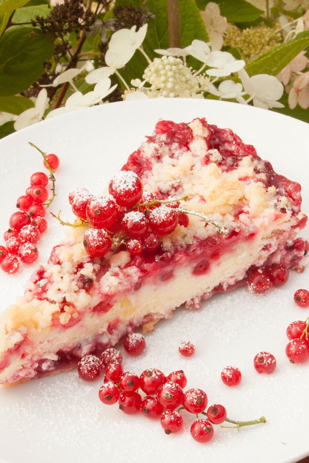 Streusel Cheesecake with Red Currant